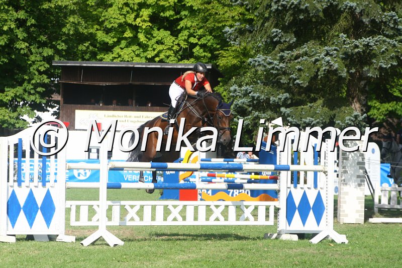 308M0616_Spring Mx.JPG